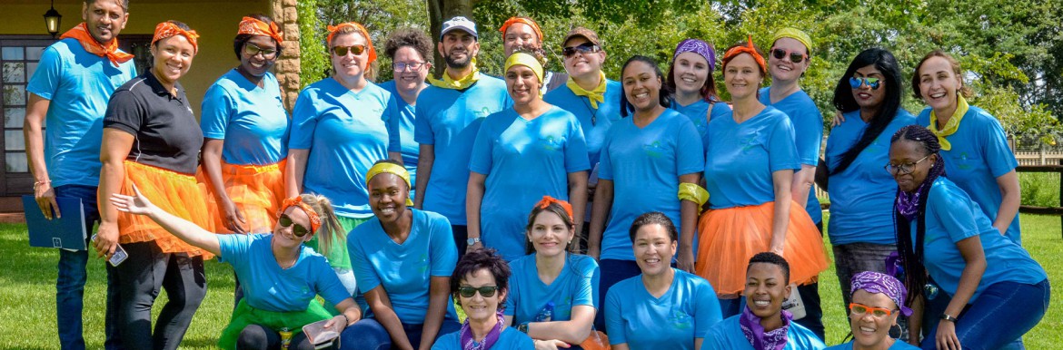 Meet the Team
